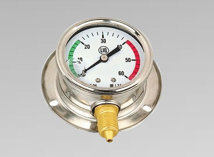 不銹鋼壓力表YN60T