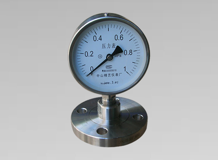 不銹鋼法蘭連接隔膜壓力表