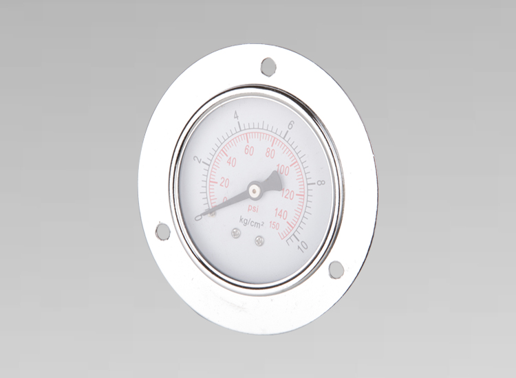 軸向帶邊不銹鋼壓力表