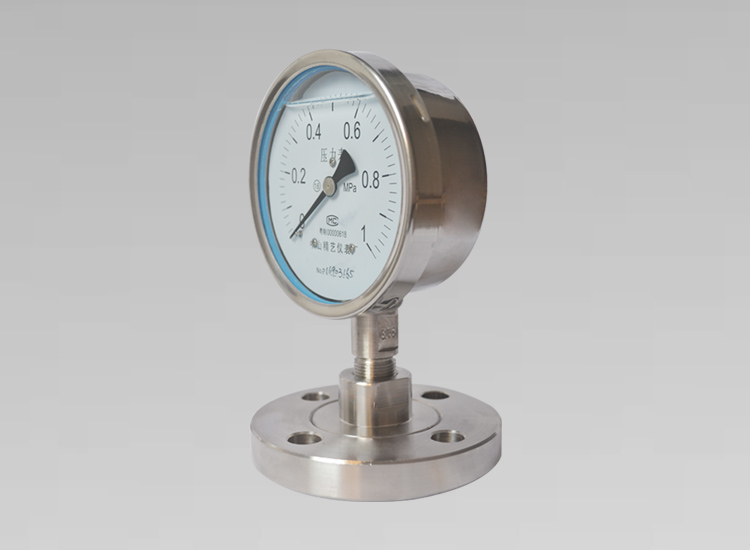 法蘭連接隔膜耐震壓力表YMNF100 1MPA DN25